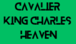 CAVALIER KING CHARLES HEAVEN